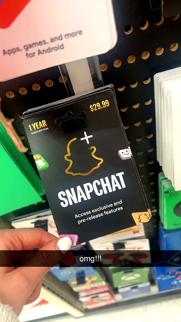 carmmieecat image ~ Altpins