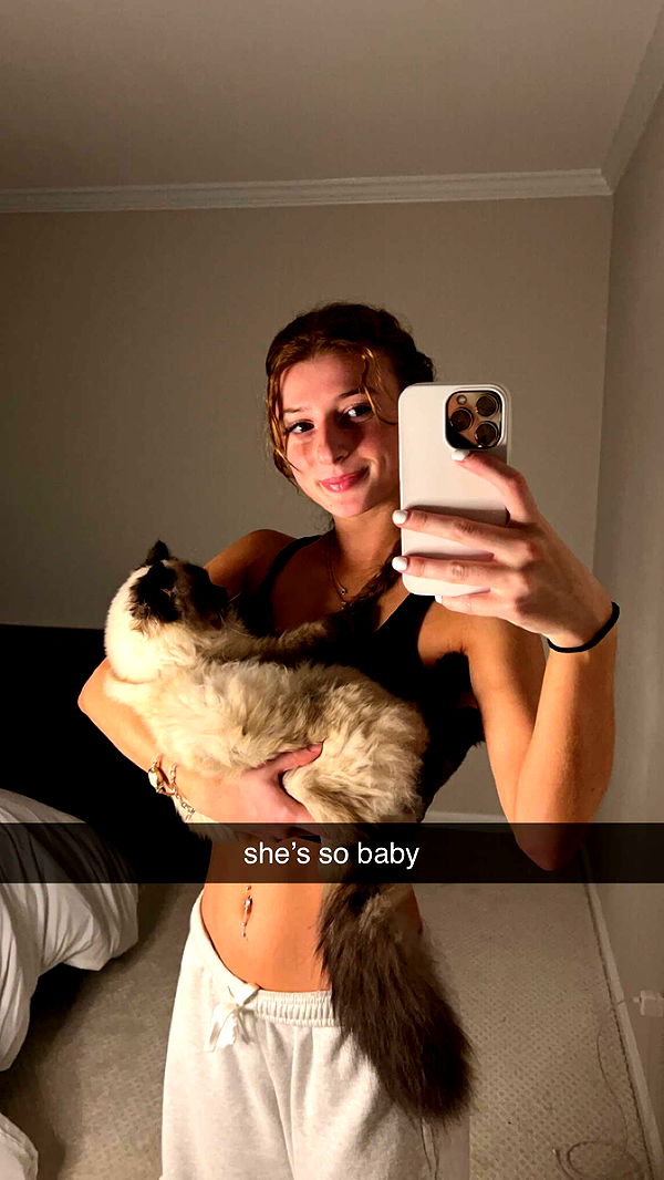 carmmieecat image ~ Altpins