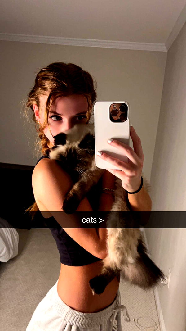 carmmieecat image ~ Altpins