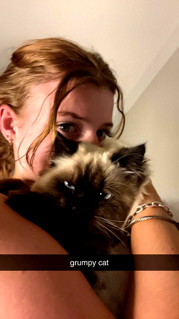 carmmieecat image ~ Altpins