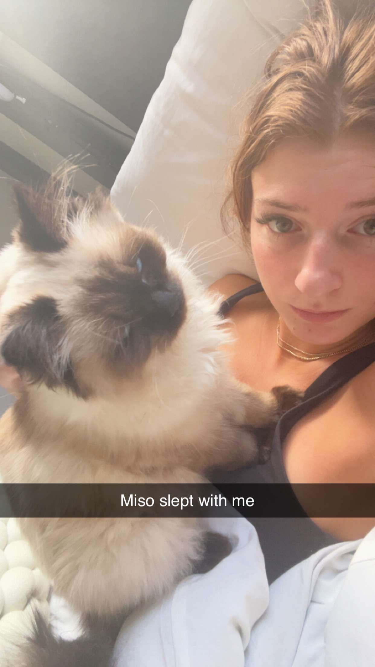 carmmieecat snapchat image archive image