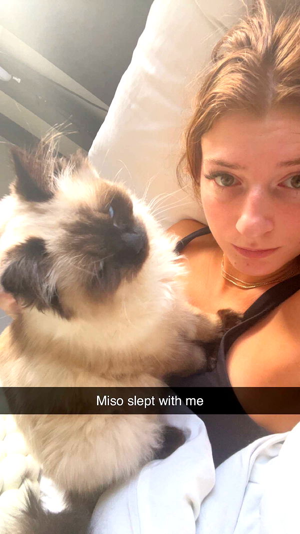 carmmieecat image ~ Altpins