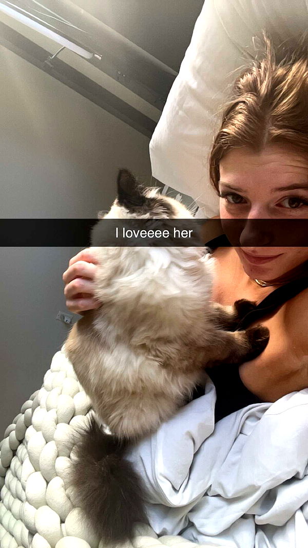 carmmieecat image ~ Altpins