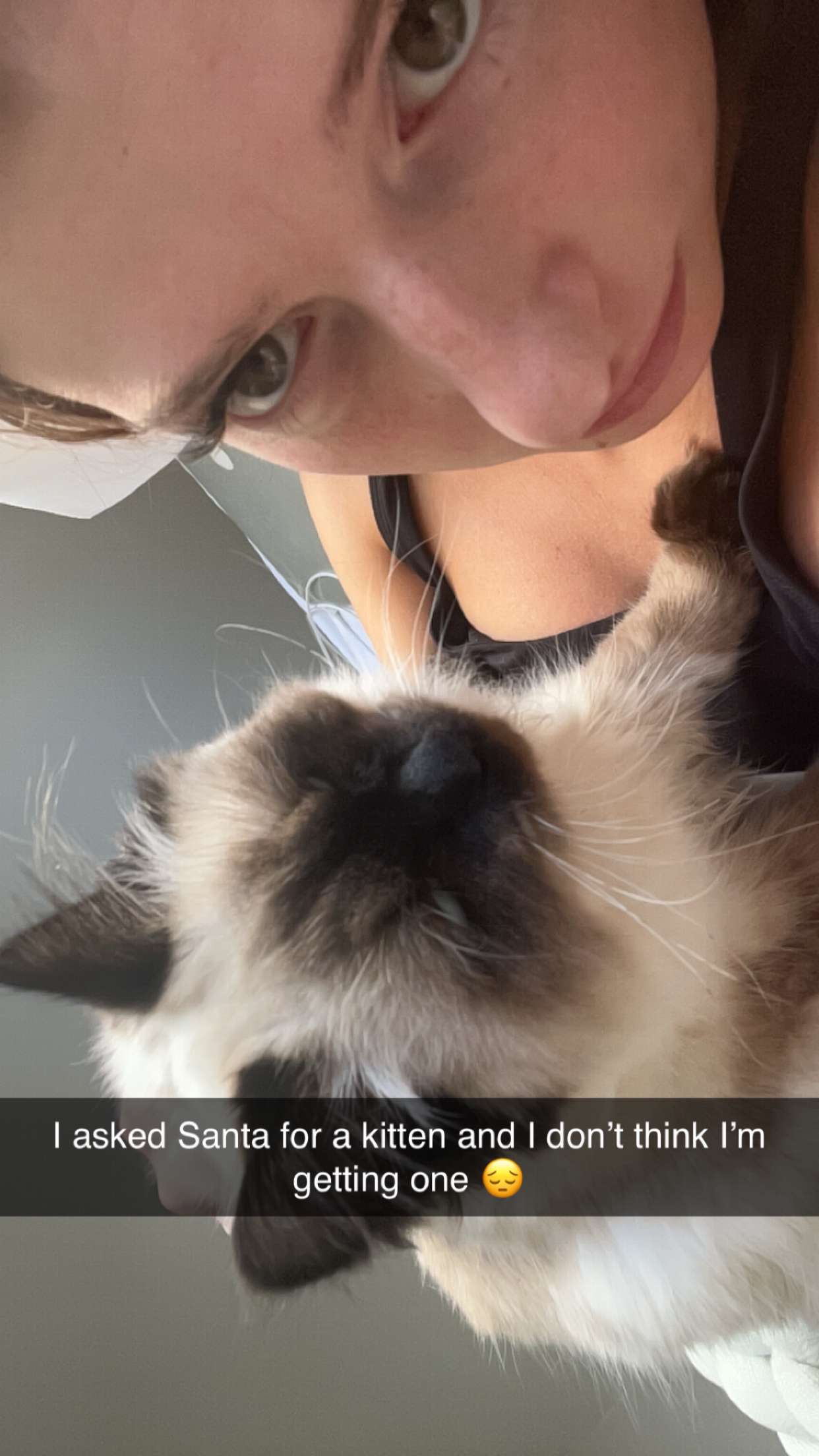 carmmieecat snapchat image archive image