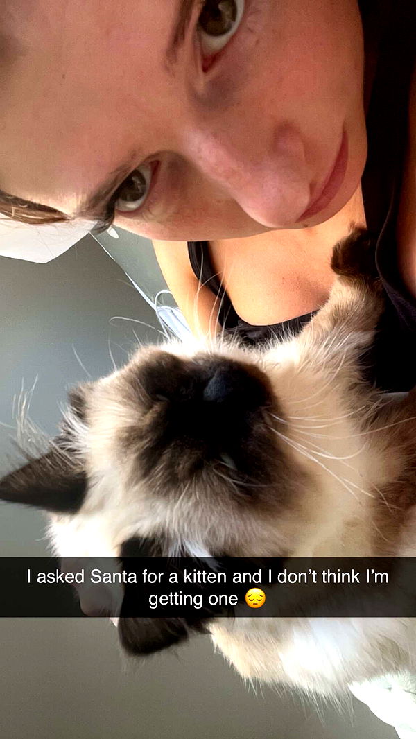 carmmieecat image ~ Altpins