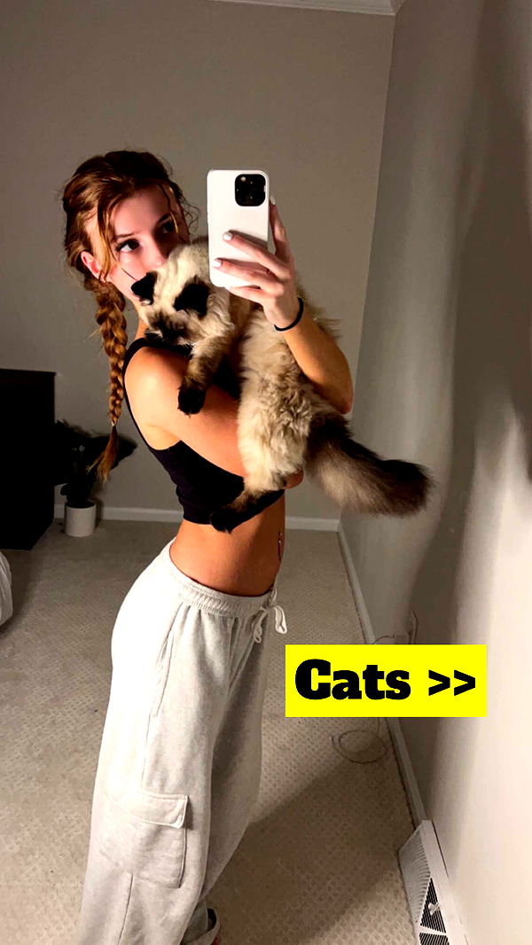 carmmieecat image ~ Altpins