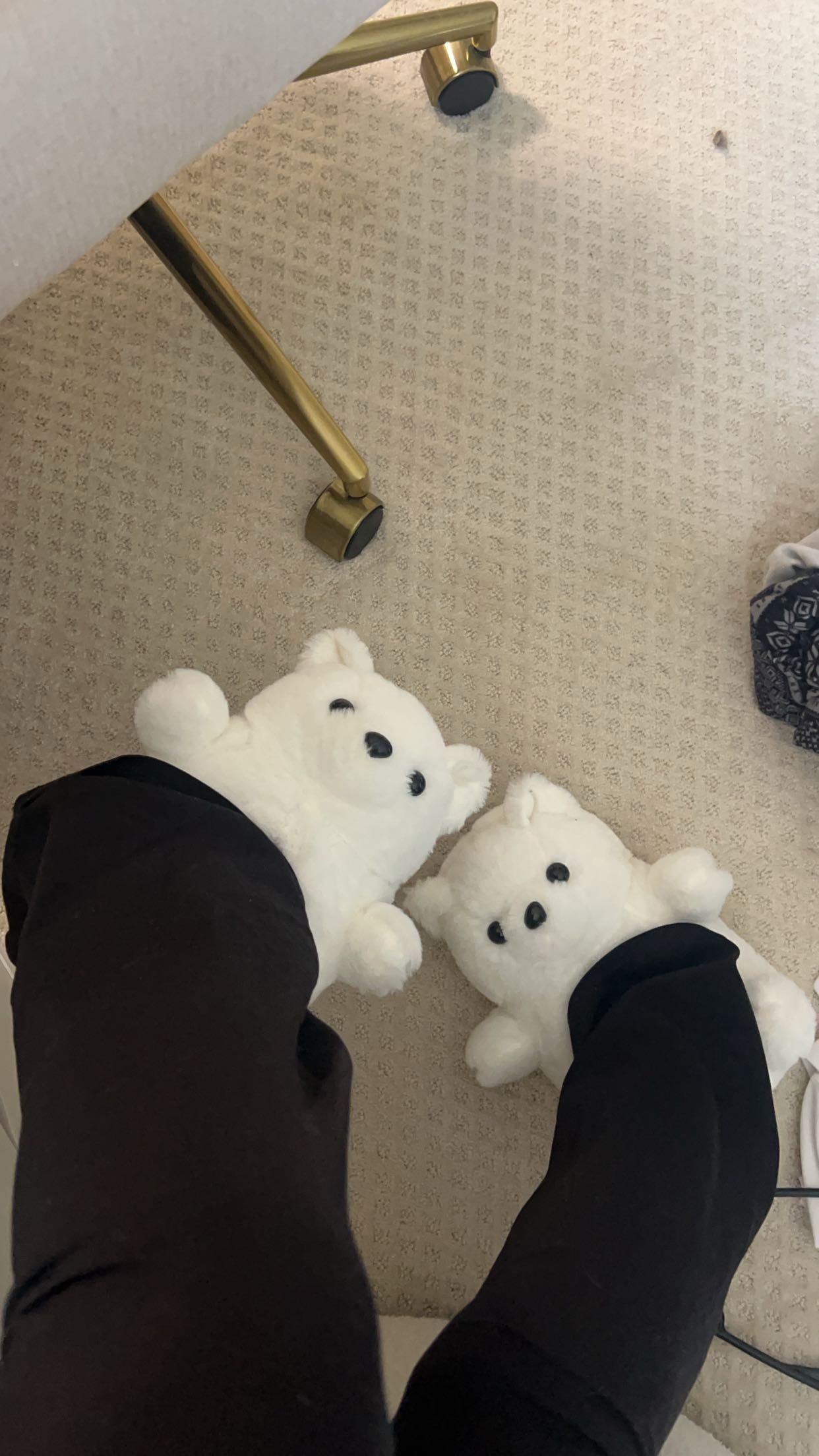 carmmieecat snapchat image archive image