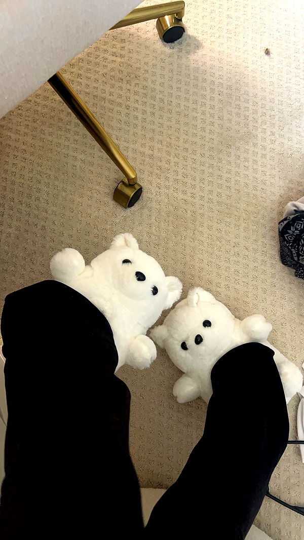 carmmieecat image ~ Altpins