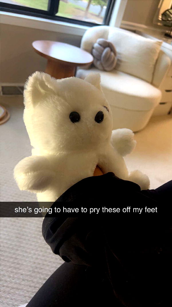 carmmieecat image ~ Altpins