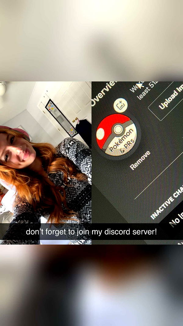 carmmieecat image ~ Altpins