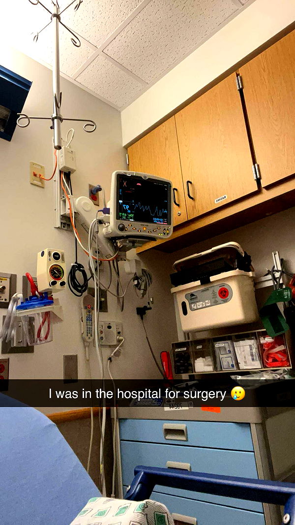 carmmieecat image ~ Altpins