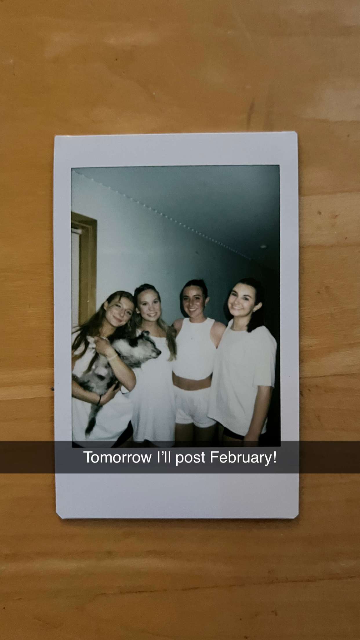 carmmieecat snapchat image archive image