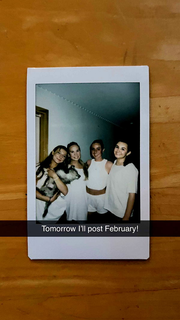 carmmieecat image ~ Altpins