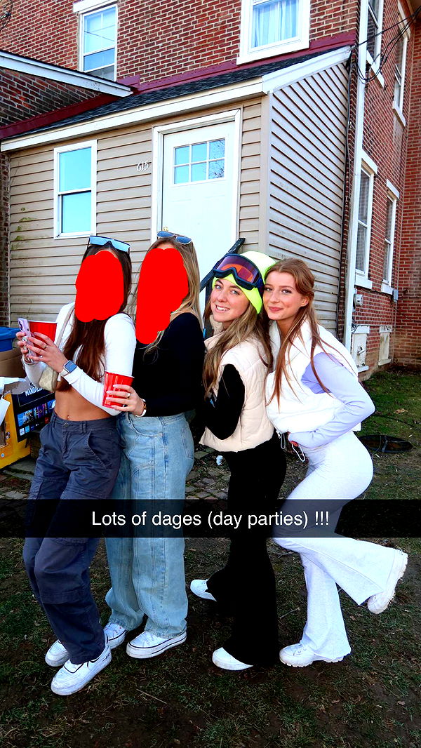 carmmieecat image ~ Altpins