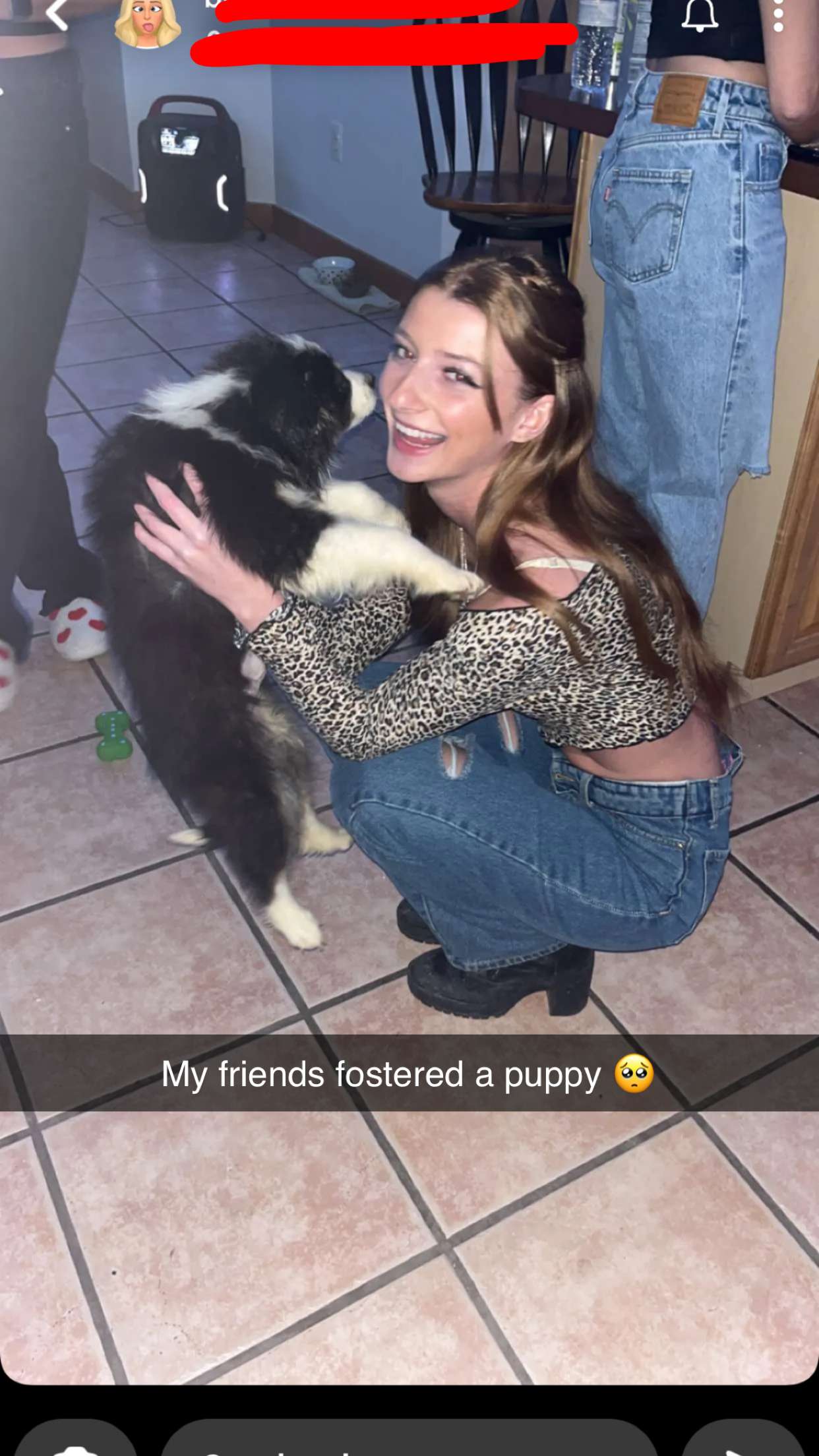 carmmieecat snapchat image archive image