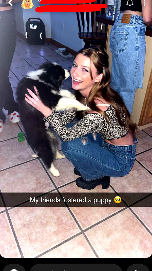 carmmieecat image ~ Altpins