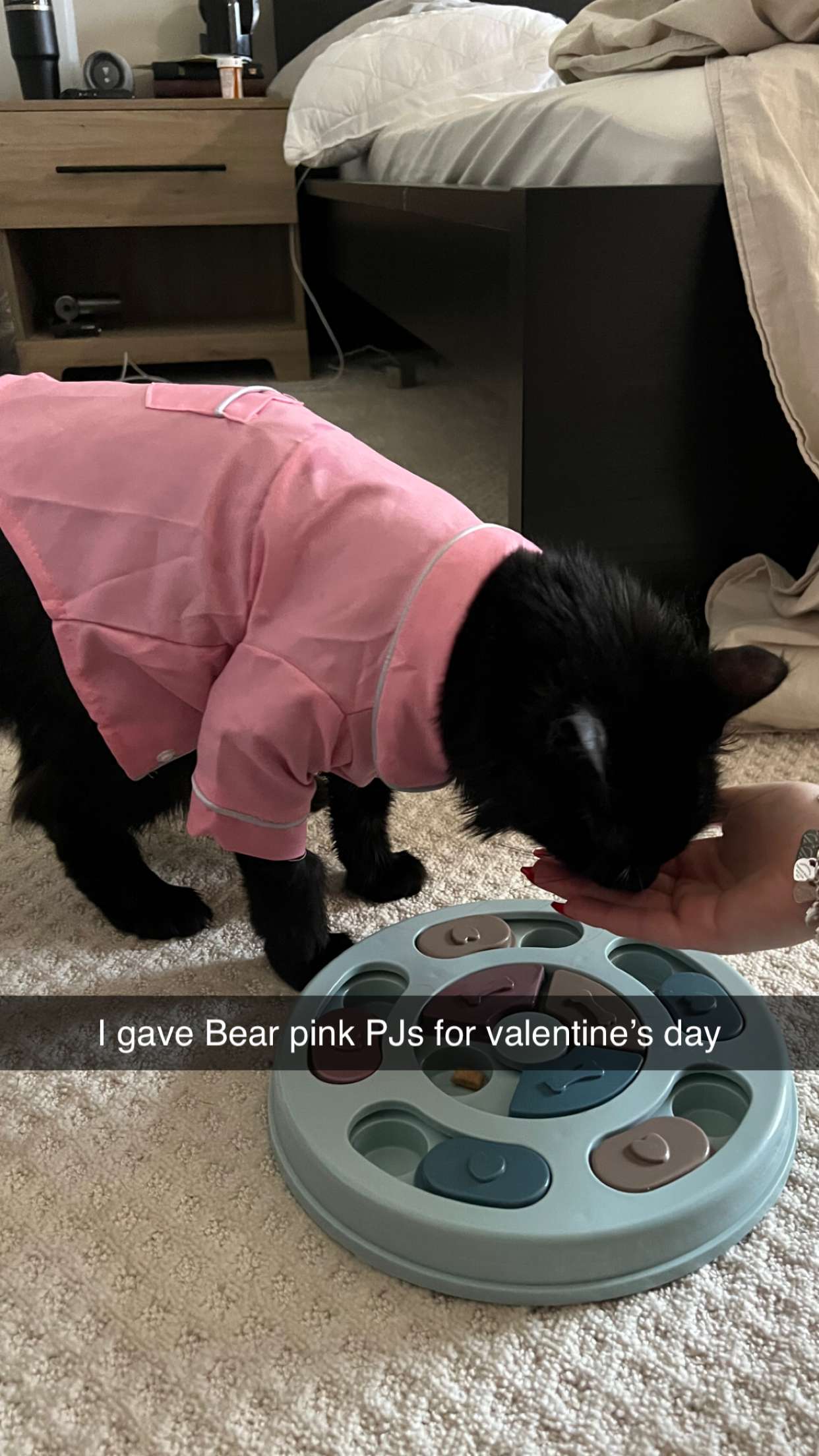 carmmieecat snapchat image archive image