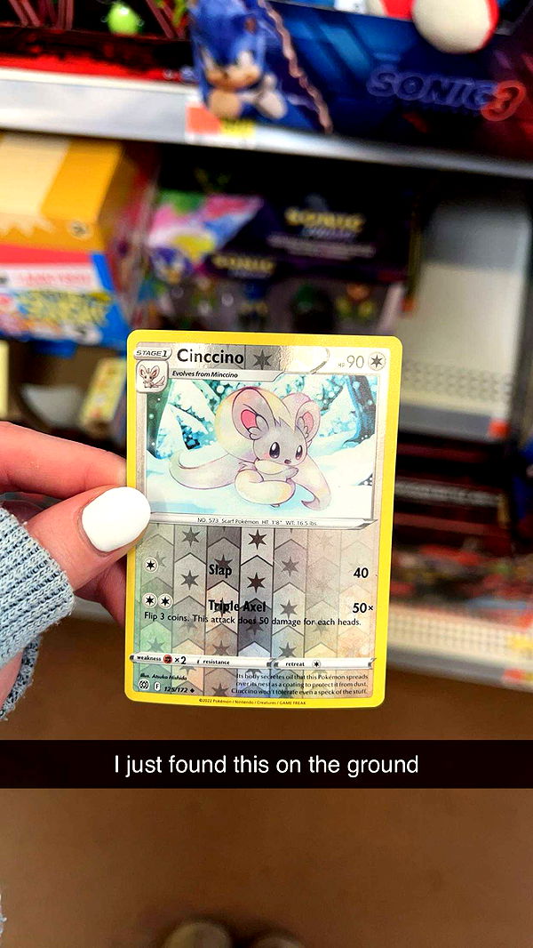 carmmieecat image ~ Altpins