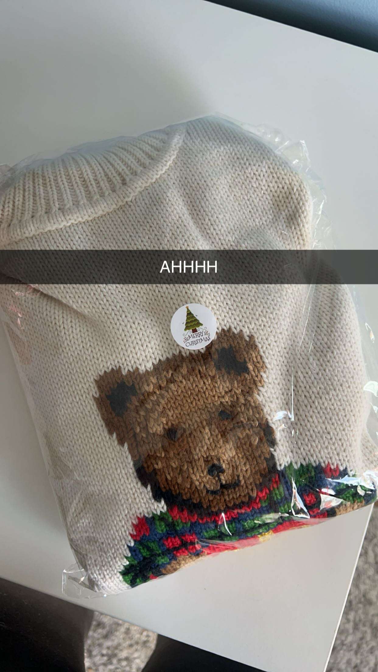 carmmieecat snapchat image archive image