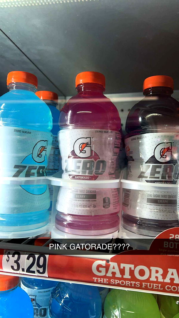 carmmieecat image ~ Altpins