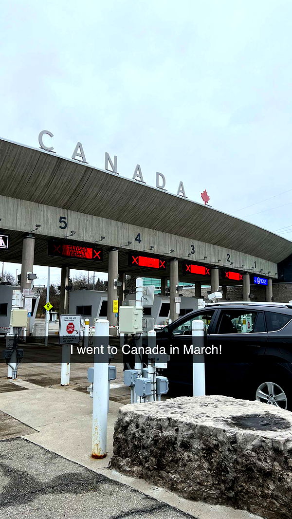 carmmieecat image ~ Altpins