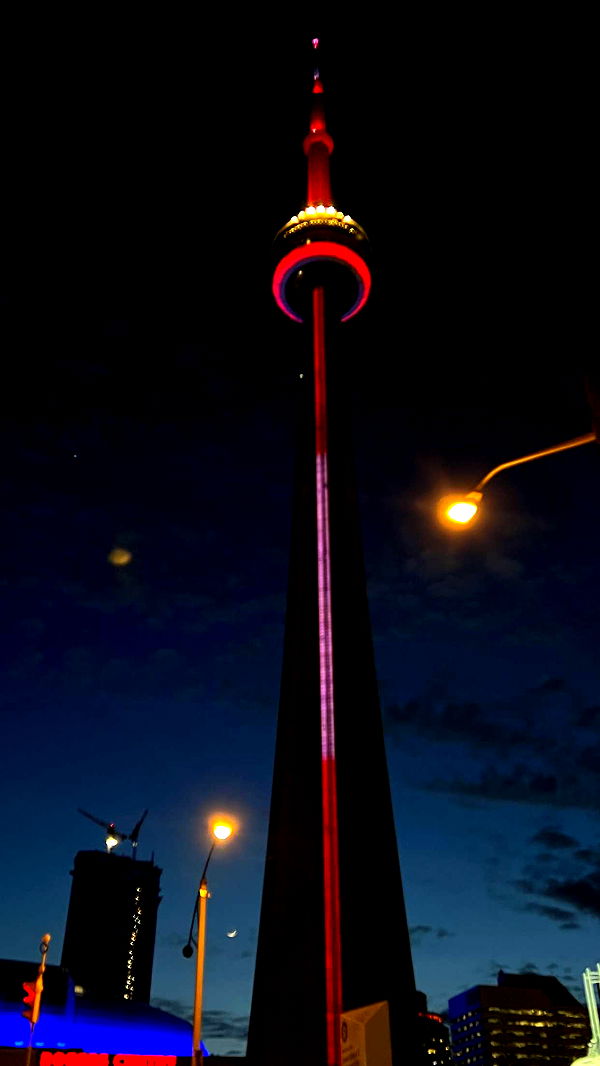 carmmieecat image ~ Altpins