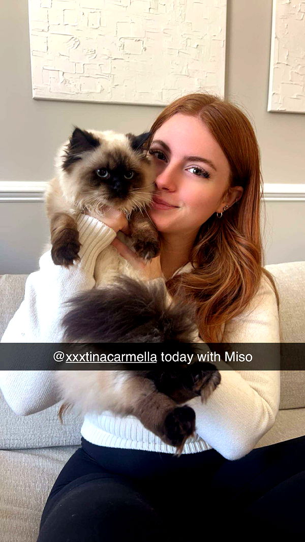 carmmieecat image ~ Altpins