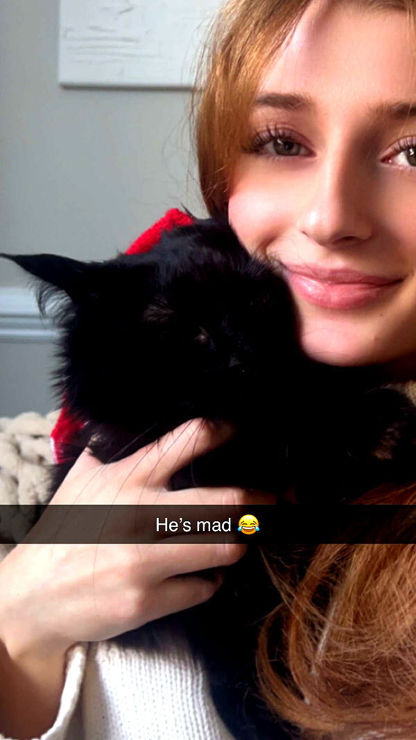 carmmieecat image ~ Altpins