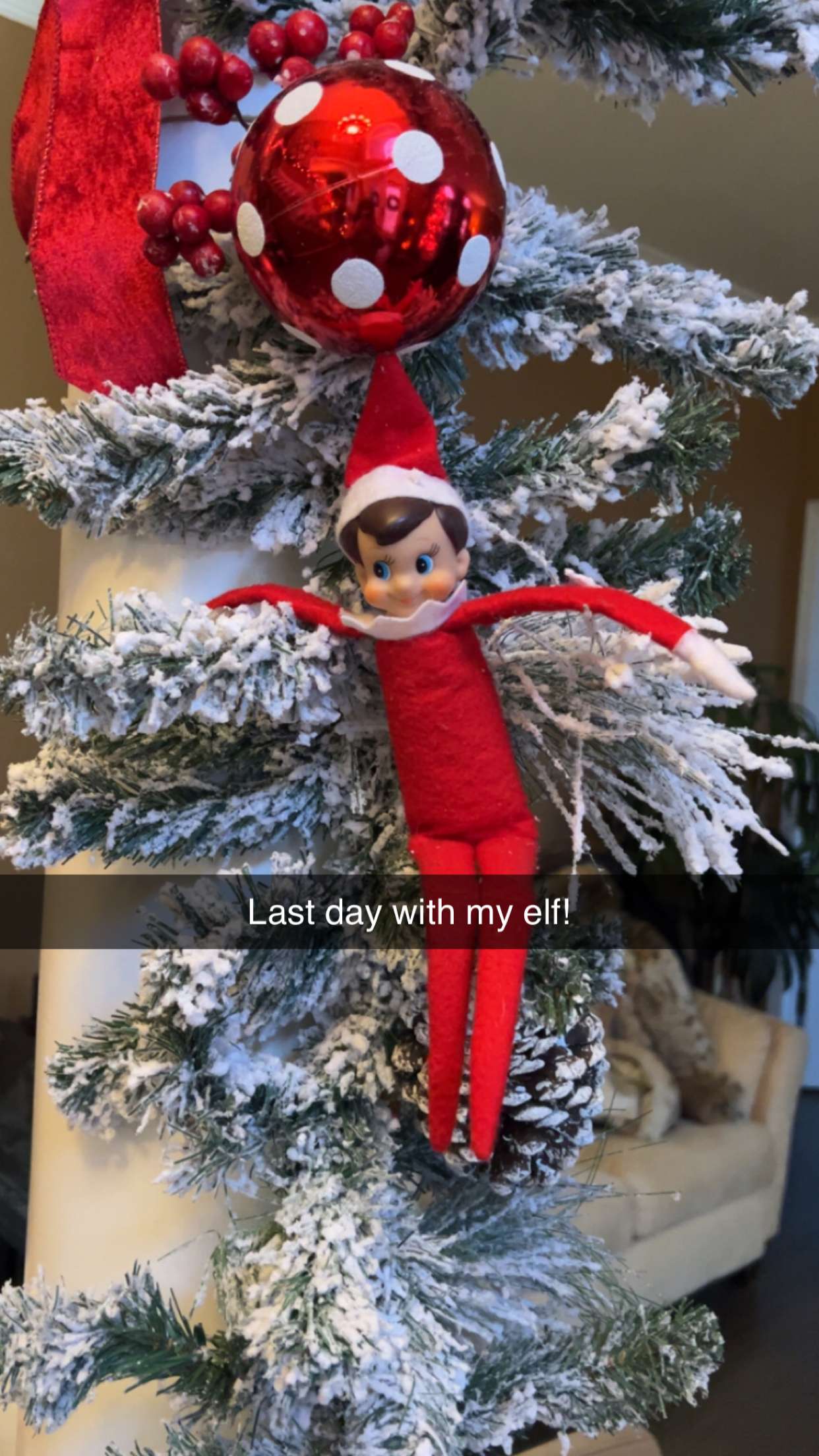 carmmieecat snapchat image archive image