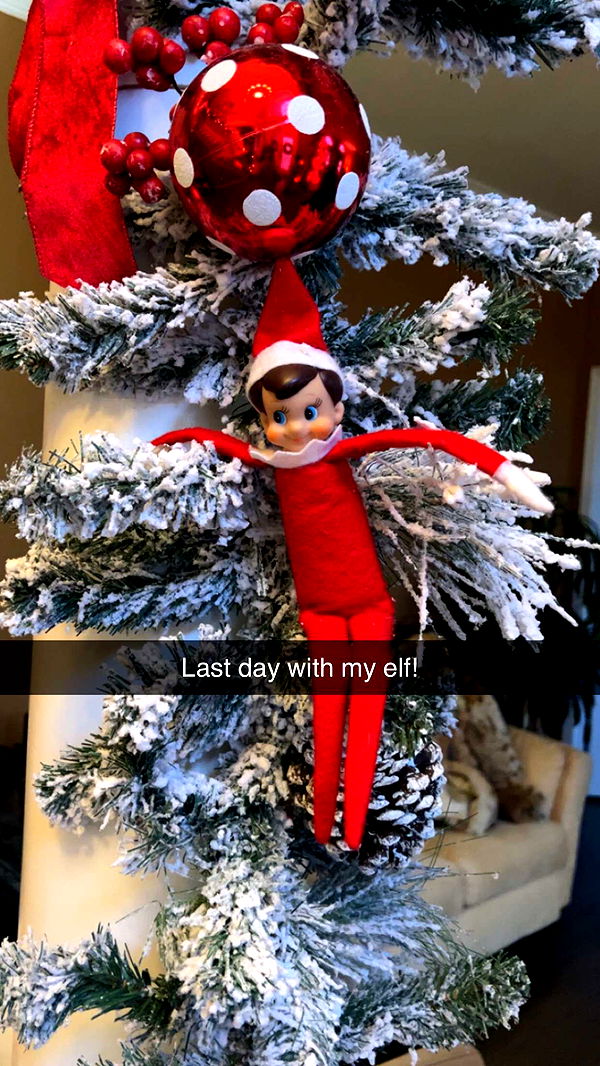 carmmieecat image ~ Altpins