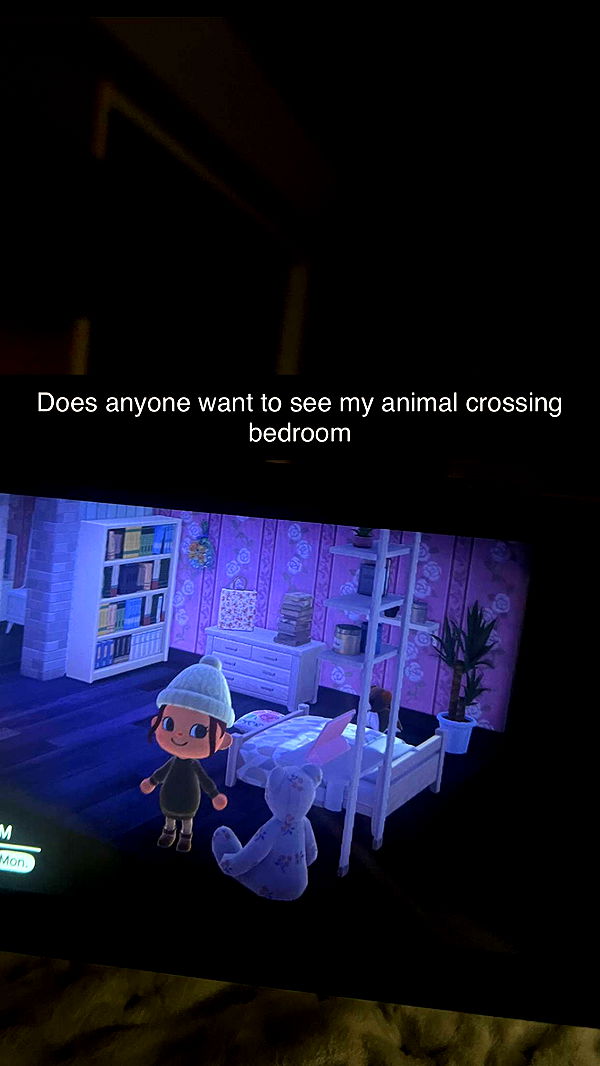 carmmieecat image ~ Altpins