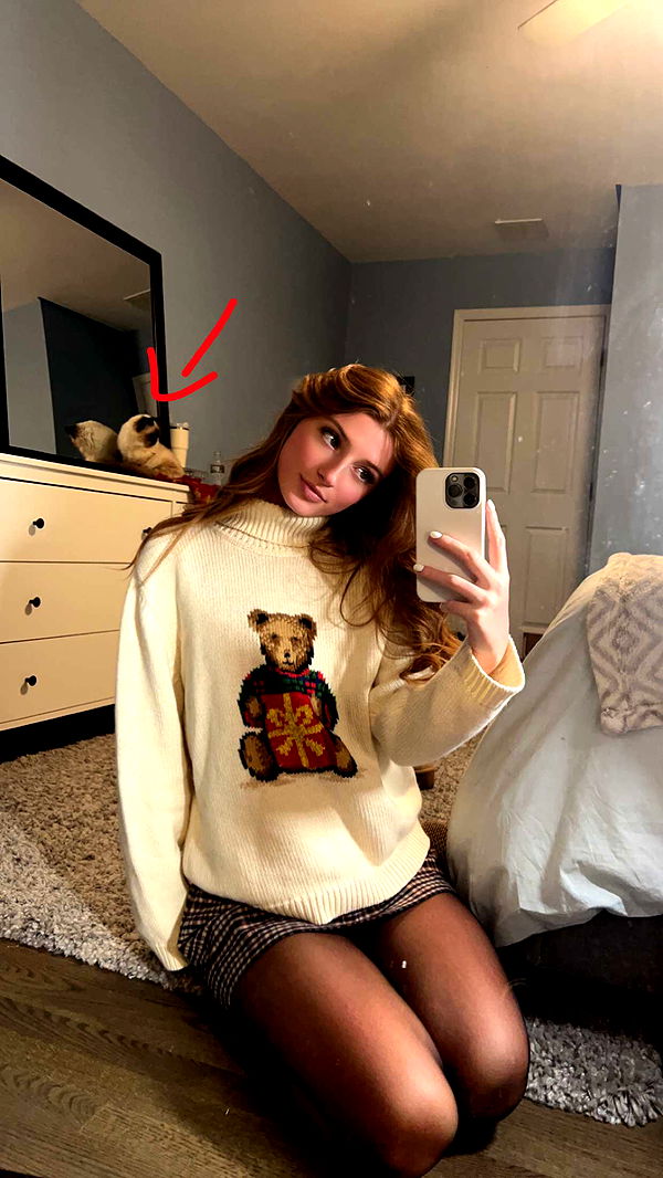 carmmieecat image ~ Altpins