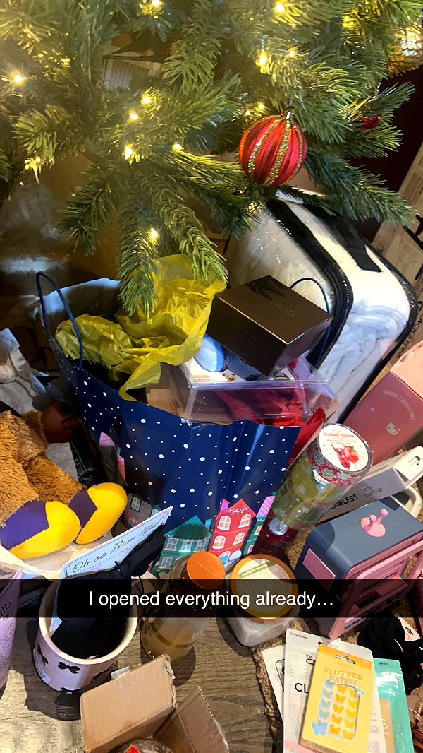 carmmieecat image ~ Altpins