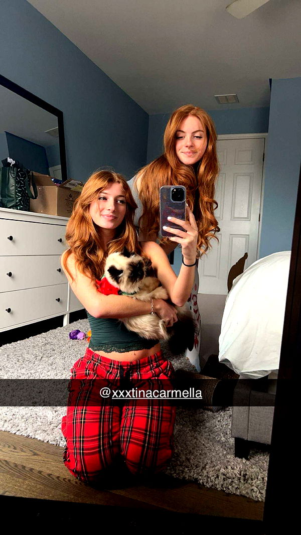 carmmieecat image ~ Altpins