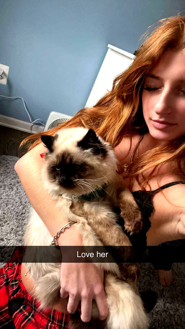 carmmieecat image ~ Altpins