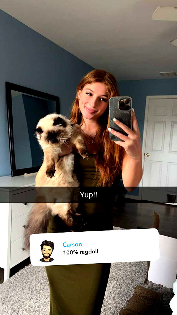 carmmieecat image ~ Altpins