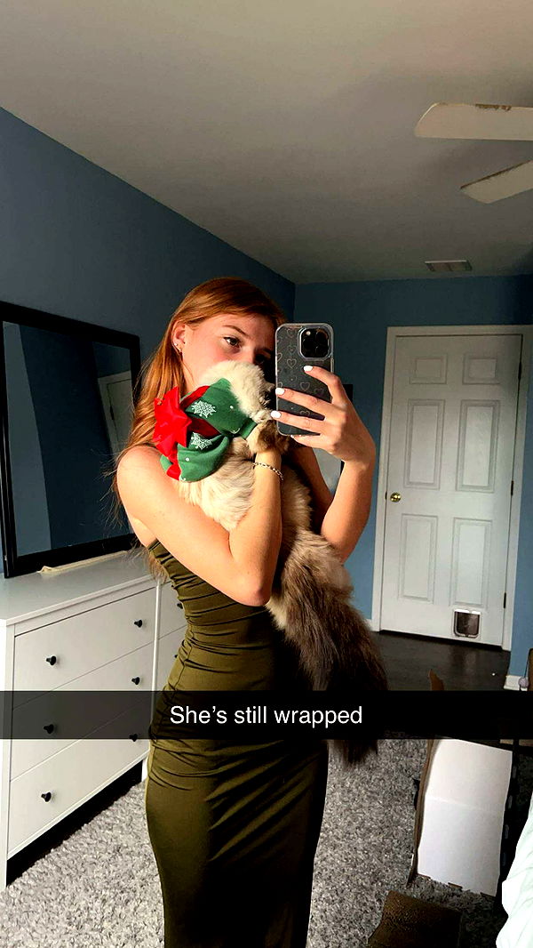 carmmieecat image ~ Altpins