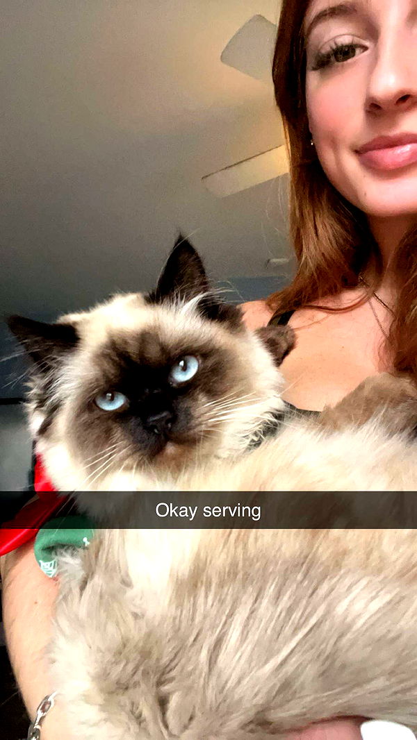 carmmieecat image ~ Altpins