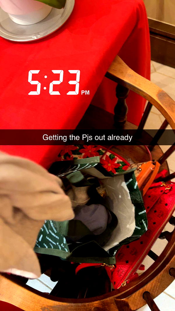 carmmieecat image ~ Altpins