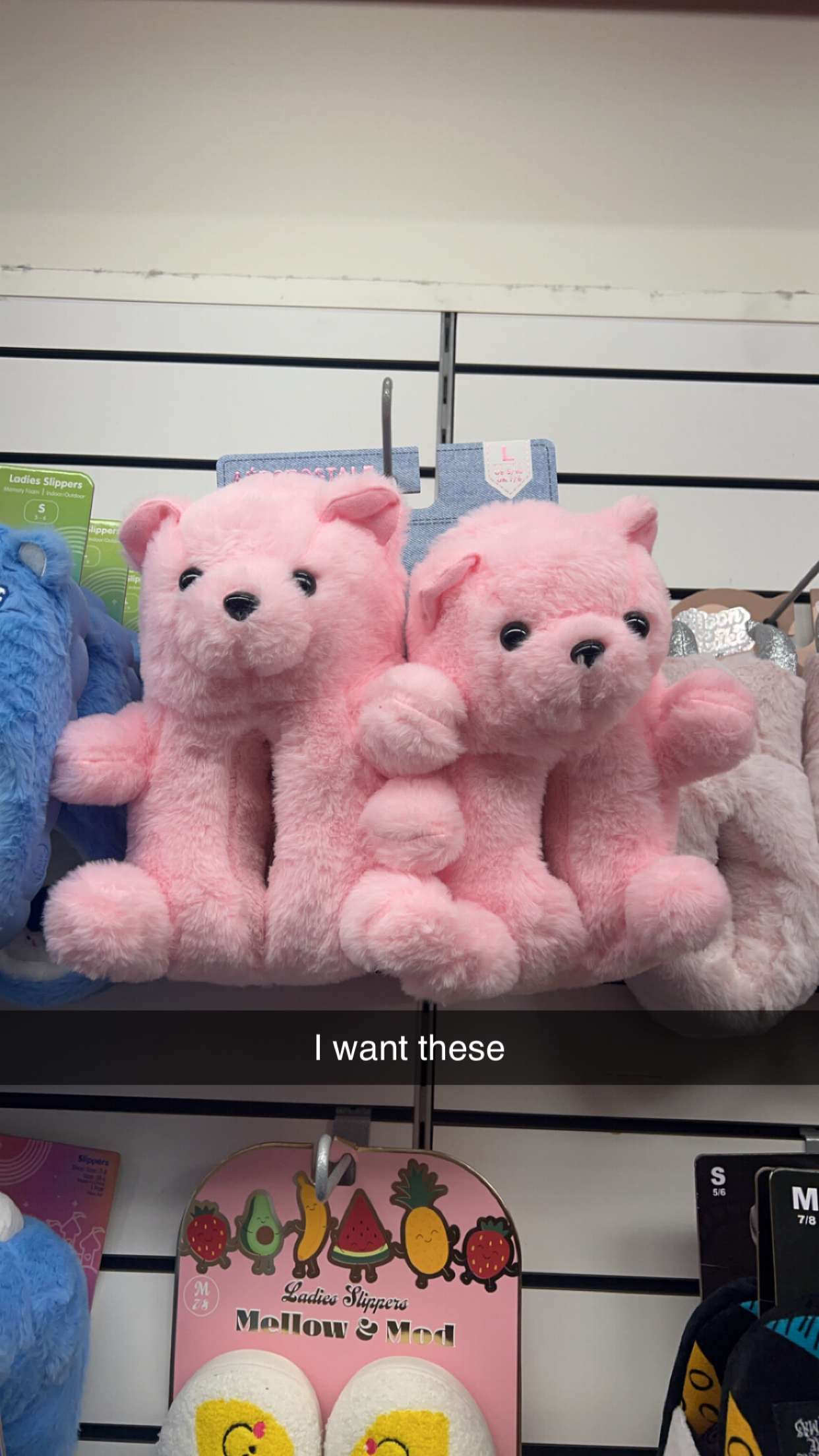 carmmieecat snapchat image archive image