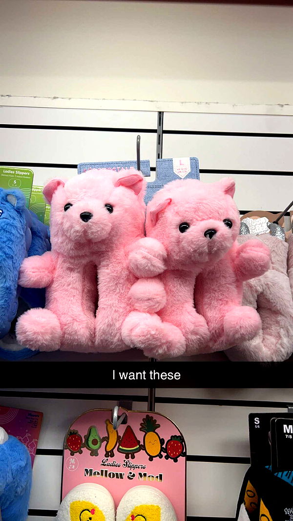 carmmieecat image ~ Altpins