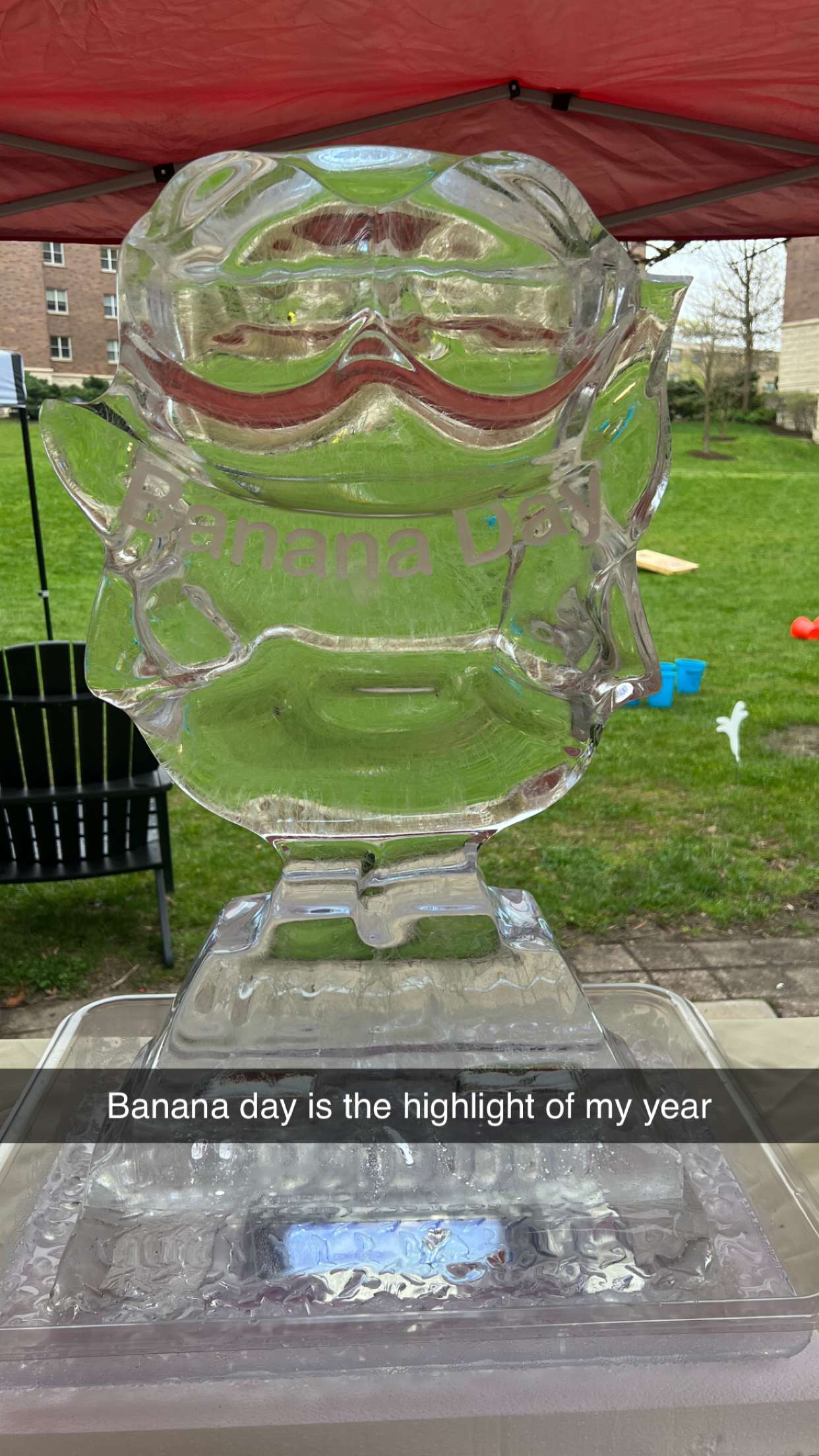 carmmieecat snapchat image archive image