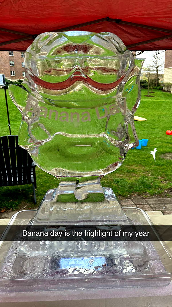 carmmieecat image ~ Altpins