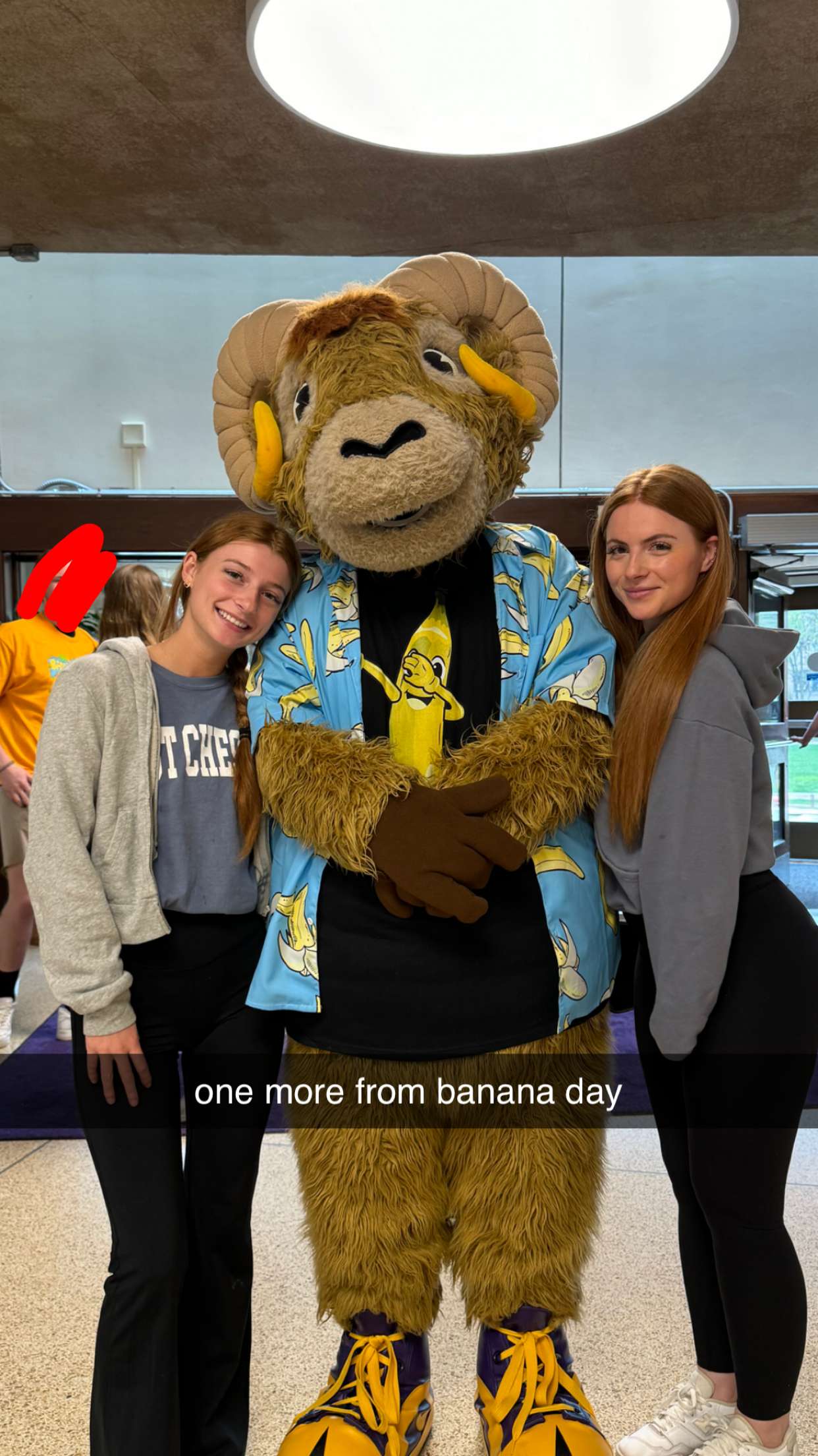 carmmieecat snapchat image archive image