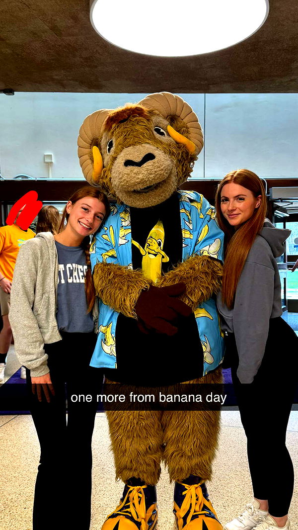 carmmieecat image ~ Altpins