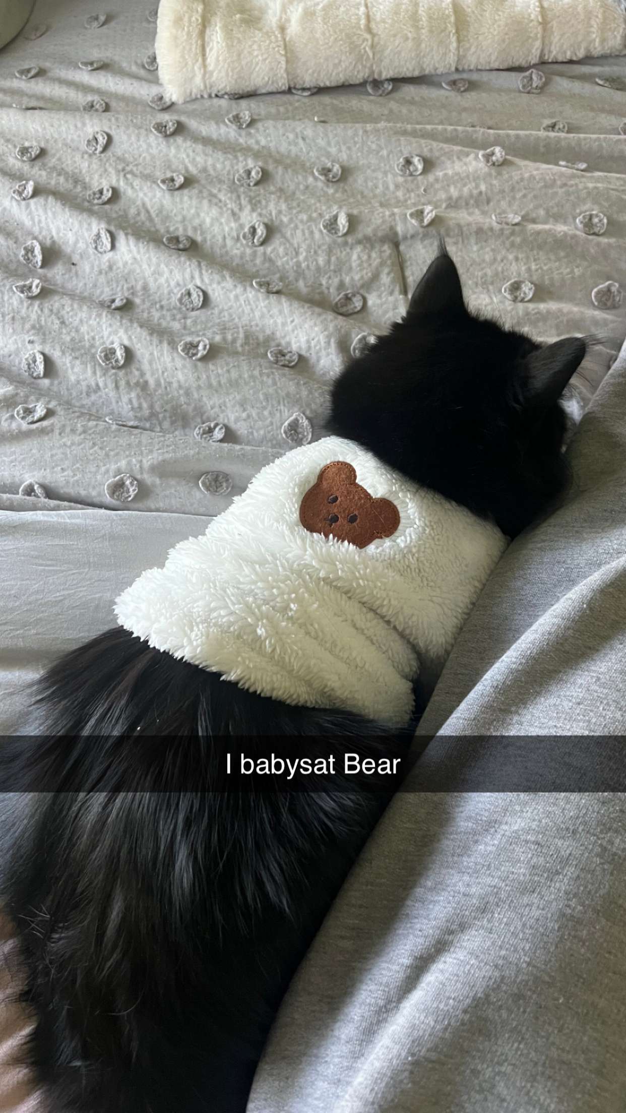 carmmieecat snapchat image archive image