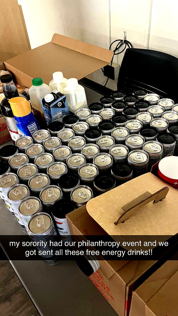 carmmieecat image ~ Altpins