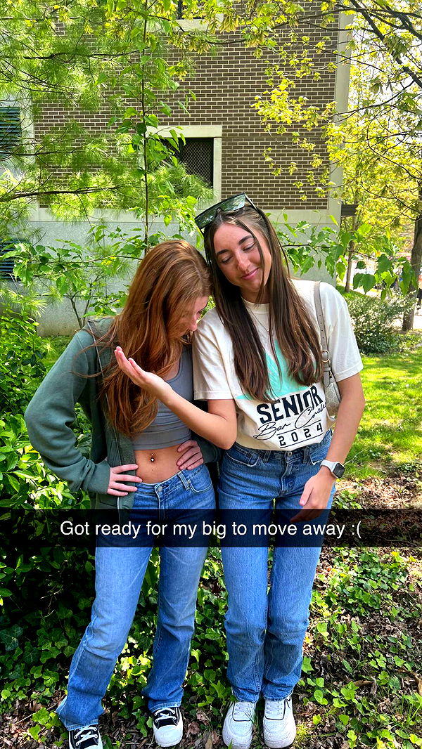 carmmieecat image ~ Altpins