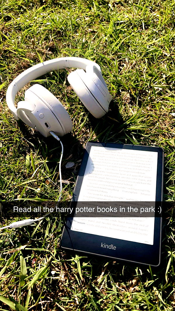 carmmieecat image ~ Altpins