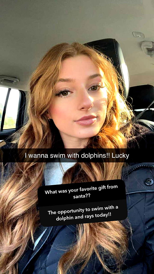 carmmieecat image ~ Altpins